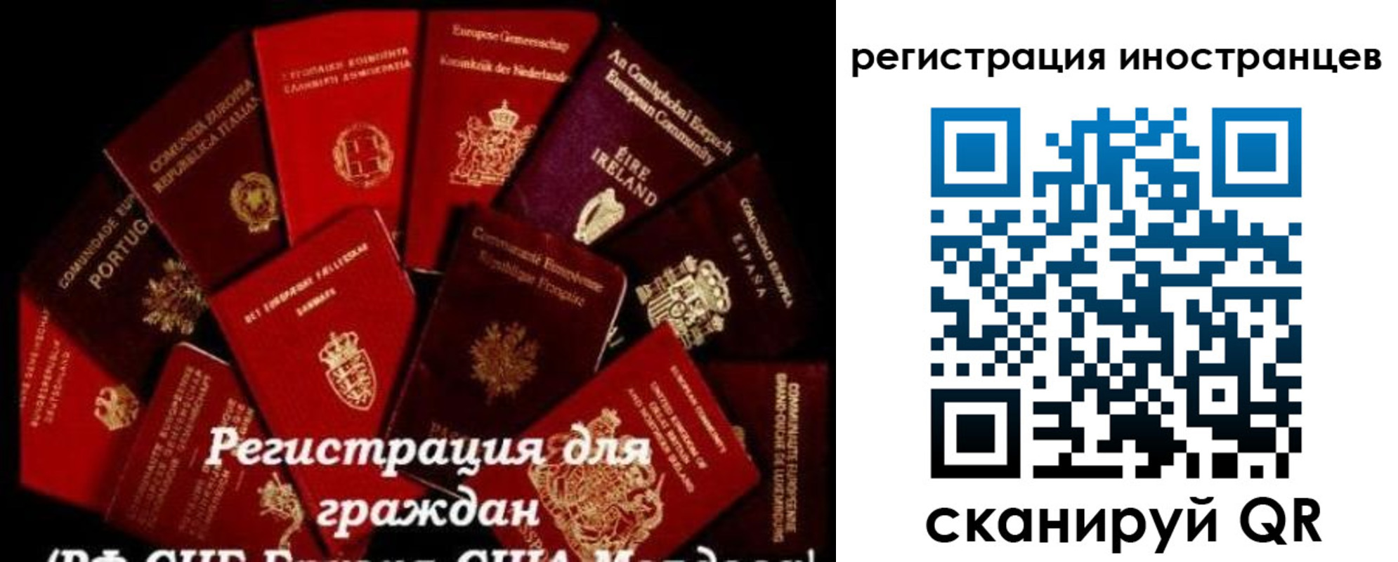 прописка иностранных граждан в Полярном